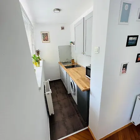 Paula's Cosy Place In The Center Of Lublaň