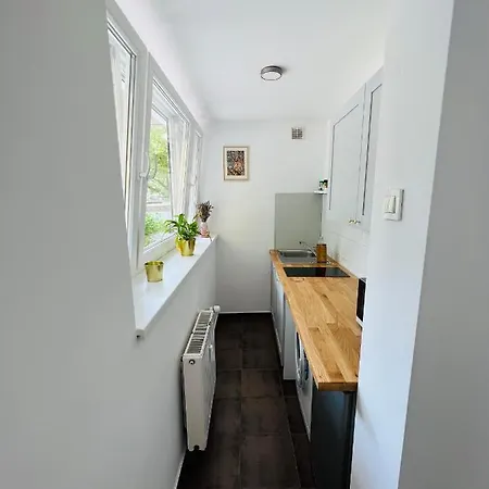 Paula's Cosy Place In The Center Of Apartman Ljubljana