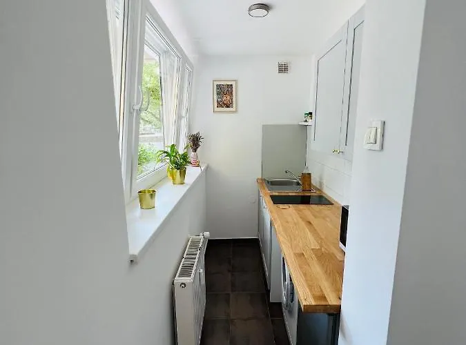 Paula's Cosy Place In The Center Of Apartmán Lublaň